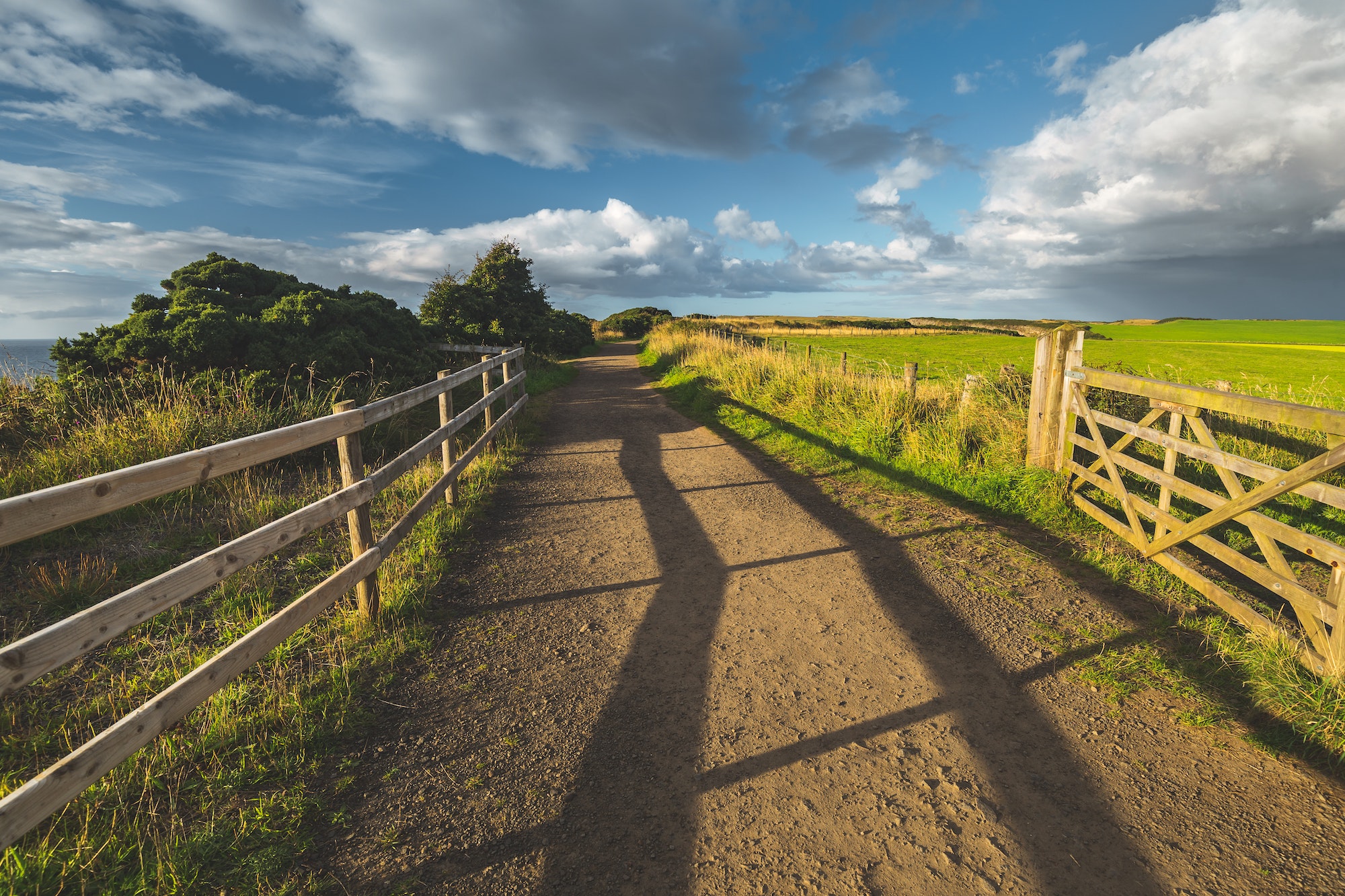 Countryside road with wooden fence. Ireland