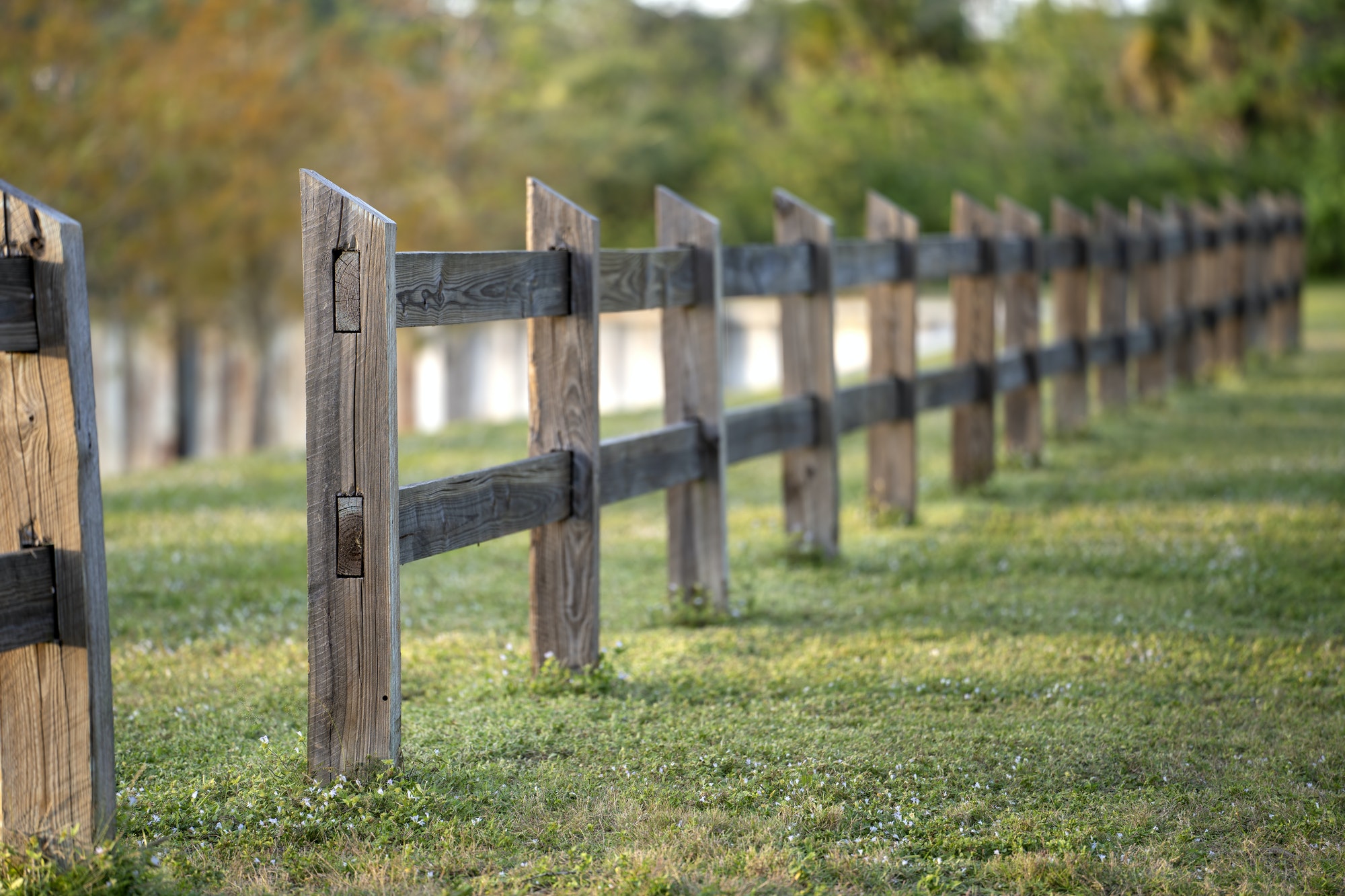 Wooden fence barrier at farm grounds for cattle and territory protection