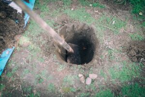 Digging hole with a shovel before planing tree