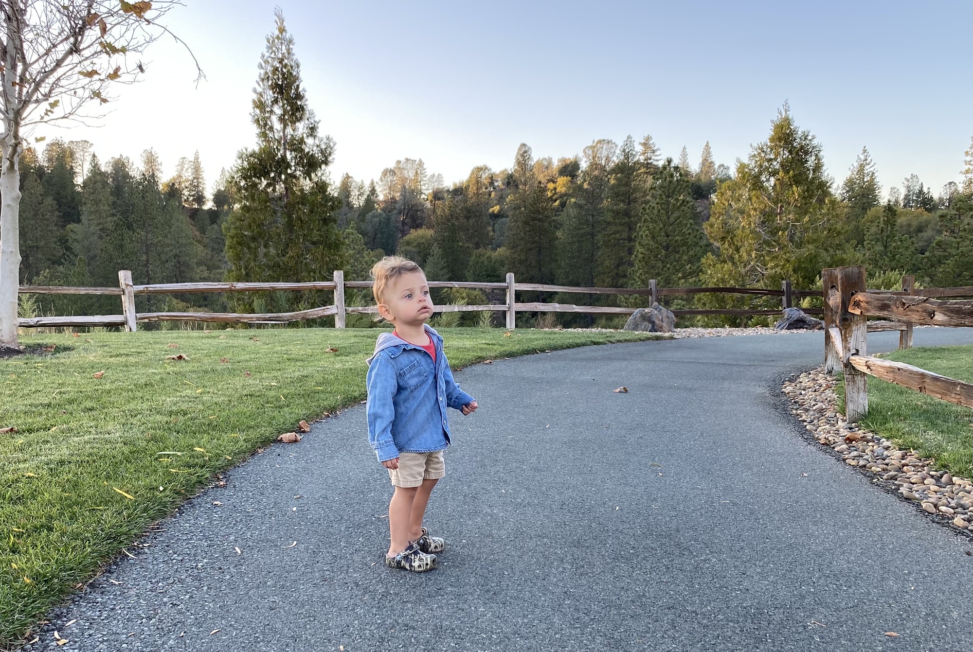 Little boy looking off in the distance on a walking trail. Asphalt path with split rail fence.