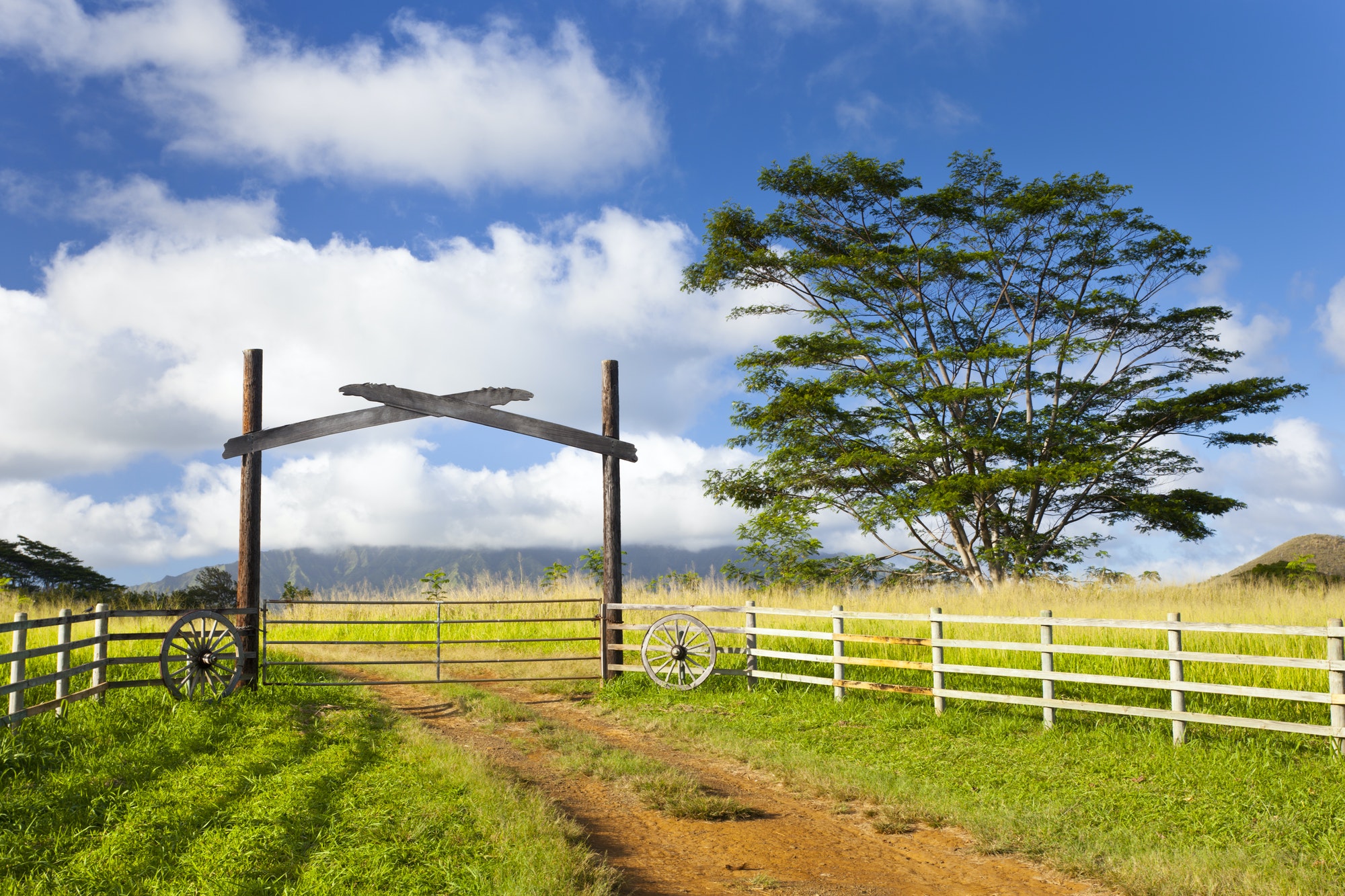 Kauai Farm Landscape, Hawaii