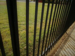 Wrought Iron Fencing! Abstract Geometry! Grass Backyard! Backyard Living!