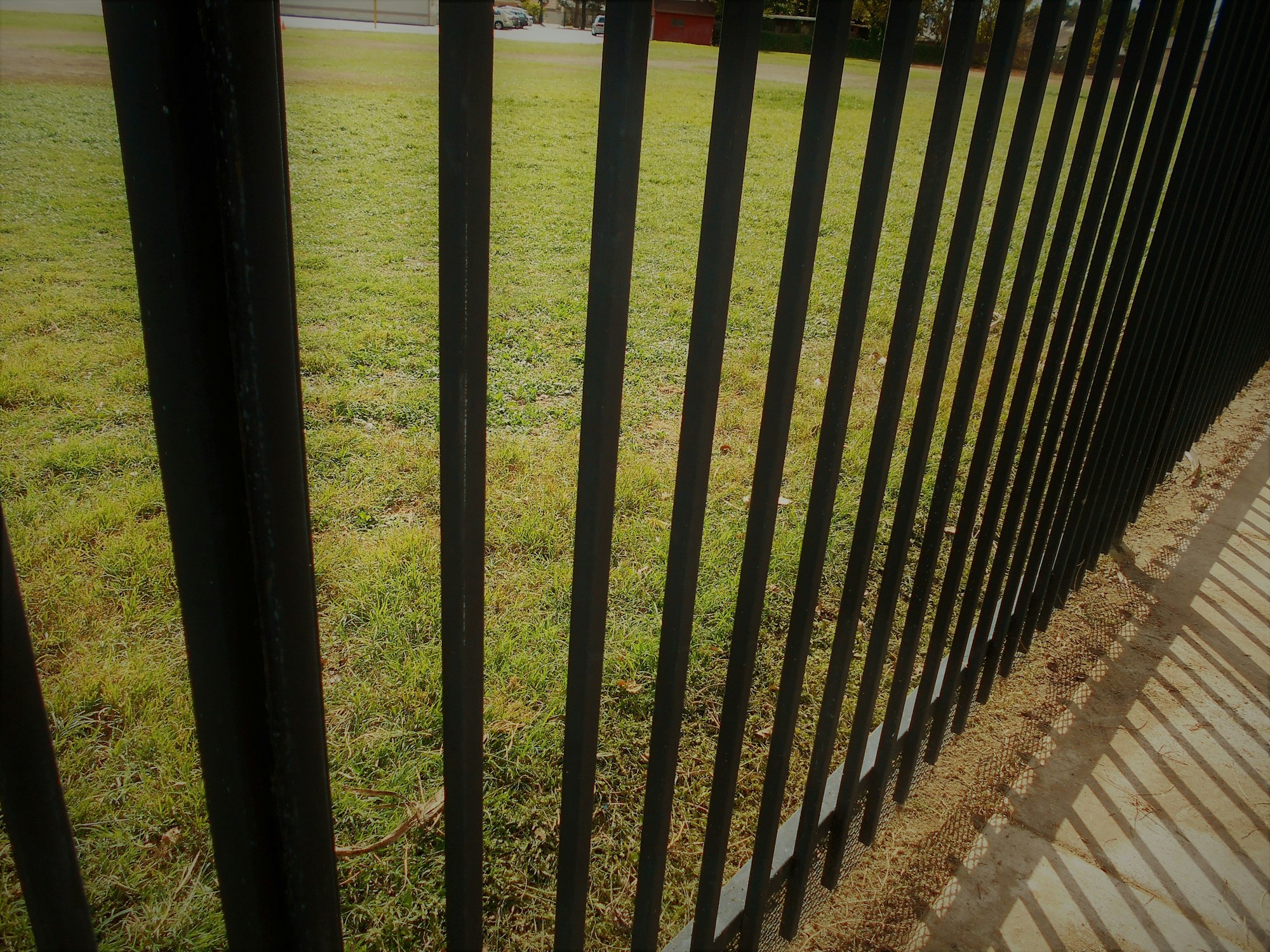 Wrought Iron Fencing! Abstract Geometry! Grass Backyard! Backyard Living!